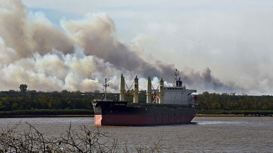 Son 90 mil las hectáreas afectadas por el fuego en islas del Paraná