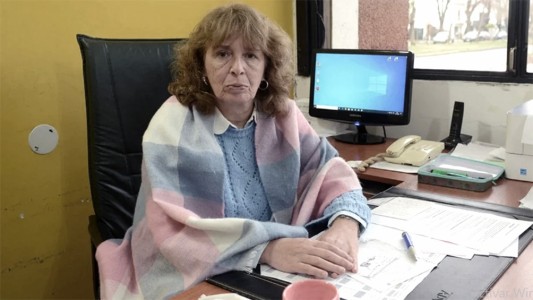 Murió la médica Nora Etchenique, clave en el uso del plasma contra el coronavirus