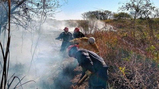 Las lluvias trajeron alivio al Delta y facilitaron la lucha contra los incendios en las islas