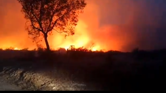 VIDEOS Y FOTOS:  así afectan los incendios a Córdoba