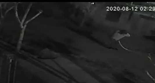 VIDEO: así descartó el cuerpo el femicida de Sandra Acosta Mercado