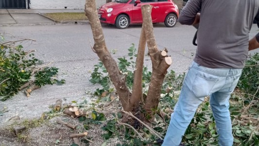 El ex jefe de la EPE de Funes corrió con una motosierra a un inspector