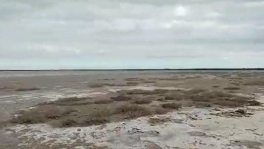 Video: este es el lugar donde encontraron el cuerpo
