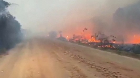 Incendios consumen 40 mil hectáreas del Gran Pantanal brasileño