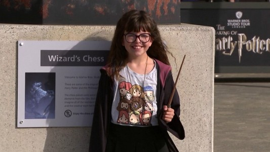 Harry Potter reabre mientras espera un hechizo contra el Coronavirus