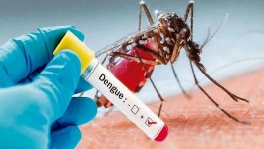 Dengue: Argentina registra niveles históricos de infectados