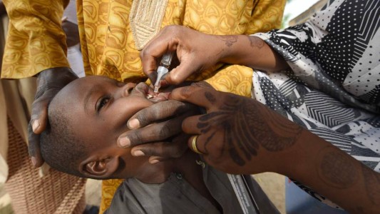 Erradicaron la polio en África y salvaron 1,8 millones de niños