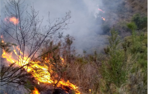 San Roque: el drama de unas 70 familias amenazadas por el fuego