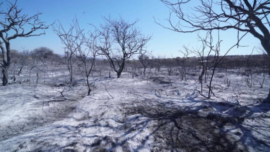 Reparación por los incendios: destinan más de $150 millones a 600 afectados