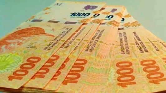 Quiénes podrían acceder al Ingreso Universal de 17 mil pesos, más conocido como el nuevo IFE