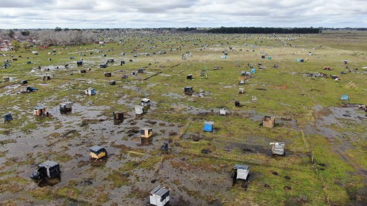 2500 familias toman tierras en Guernica