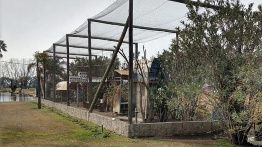 Policía Ambiental recuperó 40 ejemplares de fauna silvestre en cautiverio