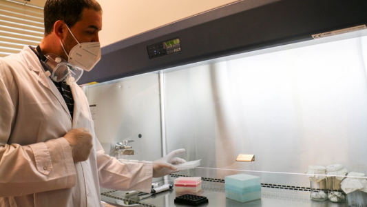 Se confirmaron 552 casos nuevos y cuatro fallecimientos por coronavirus en Córdoba