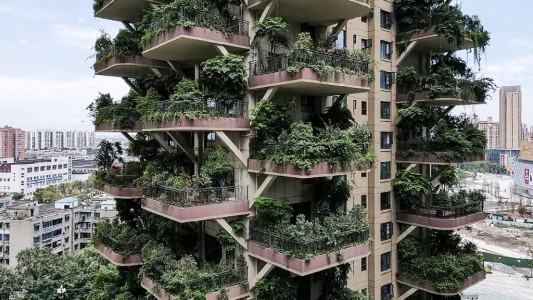 Fotos: abandonan departamentos de un edificio que se está "vegetalizando"