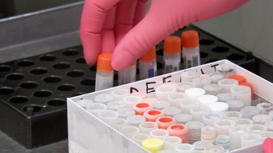 Una fuga en una bio farmaceútica de China causó más de 3.000 infectados con brucelosis