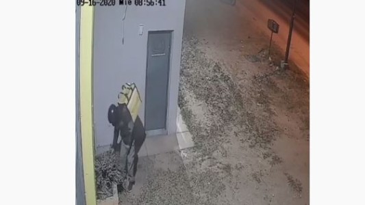 VIDEO: pensó que nadie lo estaba mirando y robó una planta de lavanda