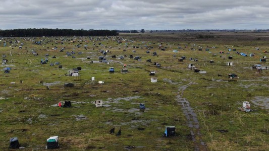 Provincia, municipio y organismos buscan acordar el desalojo en un predio de Guernica