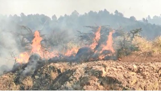 El fuego rodea el predio del Observatorio Astronómico de Bosque Alegre