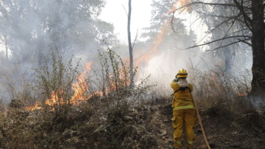 INCENDIOS EN CÓRDOBA: bomberos enfrentan otra jornada complicada