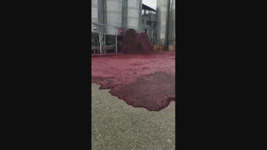 ¿Quién ha derramado 50 mil litros de vino?