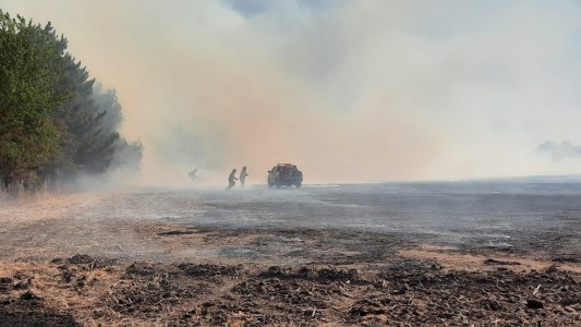 Galería de imágenes: desolación en Falda del Carmen, el fuego no tiene piedad