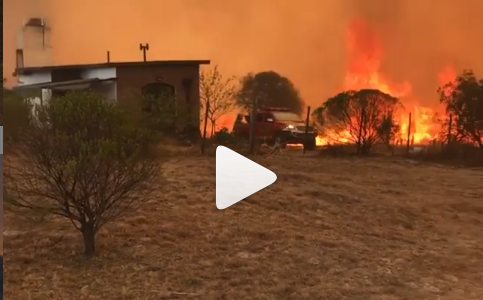 VIDEOS: el drama en primera persona, el infierno cordobés