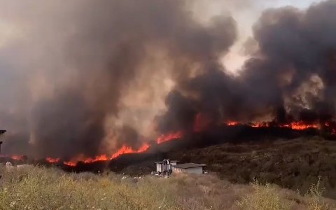 Dramático relato de una joven por los incendios en Córdoba: "En minutos el fuego llegó a mi casa"