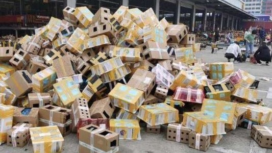 Horror en China: hallaron 5.000 mascotas muertas en cajas de cartón