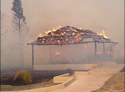 El fuego también llegó a Peko's y se quemaron los animales salvajes