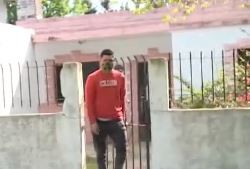 Su perro mordió a su hijo: en represalia, mató al animal