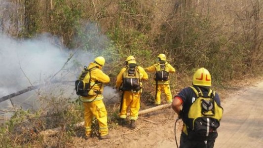 Salta: buscan sofocar más de 40 focos de incendios forestales