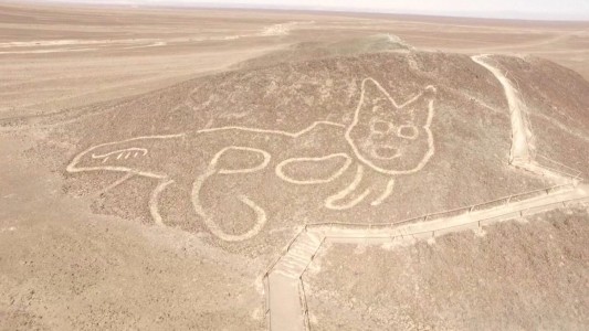 Gran hallazgo arqueológico: un gato gigante en las Líneas de Nazca