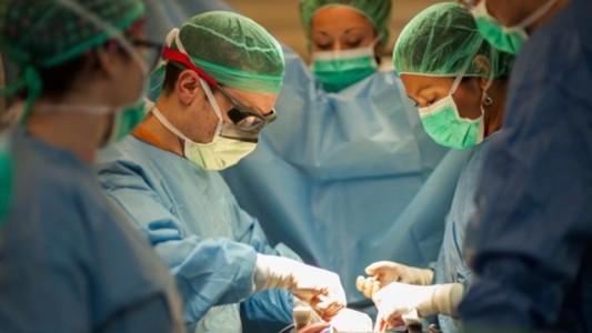 Se realizaron 530 trasplantes en lo que va de la pandemia