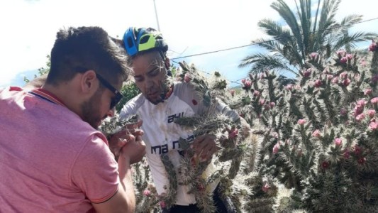 Ciclista cayó sobre cactus y quedó lleno de espinas