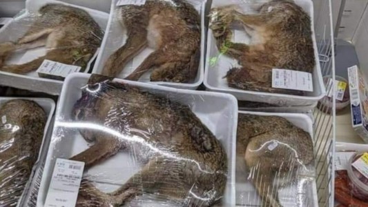 Bronca en las redes por un supermercado que vendía animales enteros en bandejas