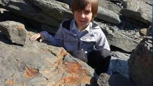 Un nene jugaba en la playa  con su hermana y halló un dinosaurio de 250 millones de años