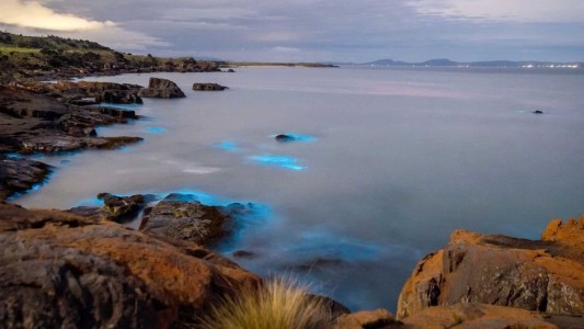 La magia de la naturaleza en una playa de Tasmania con un show de luces