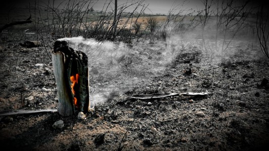 Incendios: proponen ampliar las zonas declaradas en estado de "Desastre Agropecuario"