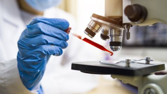 Coronavirus: Estados Unidos aprobó un tratamiento de anticuerpos sintéticos