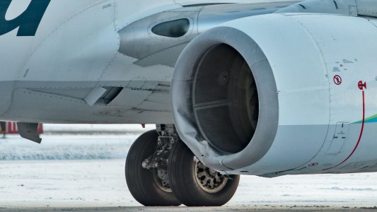Un avión chocó con un oso