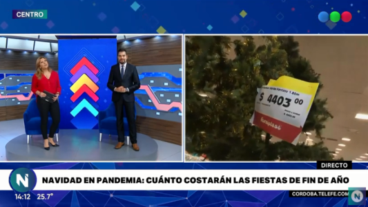 Navidad en pandemia: ¿cuánto cuesta armar el arbolito?