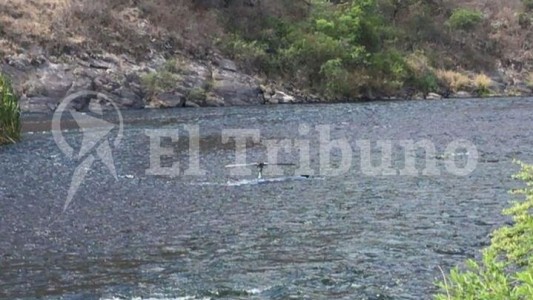 Cómo es la tirolesa con la que impactó el helicóptero de Jorge Brito