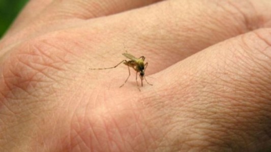 Córdoba: comenzaron las actividades en los barrios para la prevención de dengue, el zika y la chikungunya