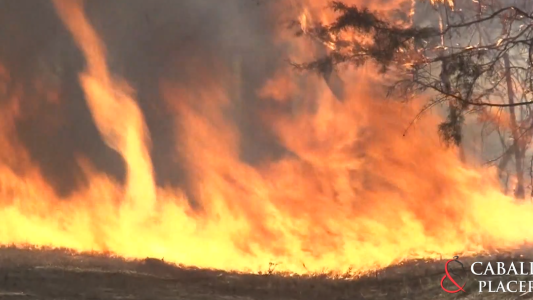 “SILENCIO DEL MONTE”: el tema musical que habla de lo que dejan los incendios forestales