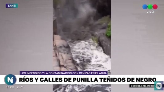 Mortandad de peces y cianovacterias, el primer impacto del agua con cenizas en las sierras