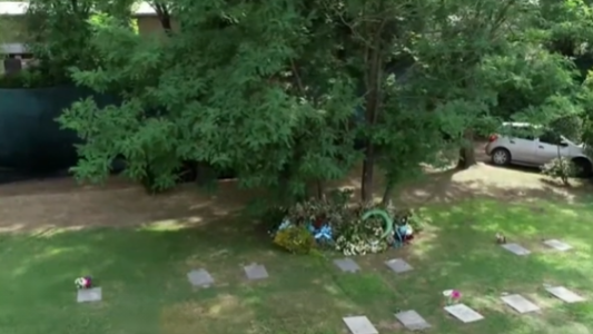 A una semana de la muerte de Diego, así permanece su espacio en el Jardín de Paz