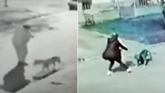 Pitbull sale de una casa a morder a todos los que pasan: "No podemos hacer nada", dicen en la Municipalidad