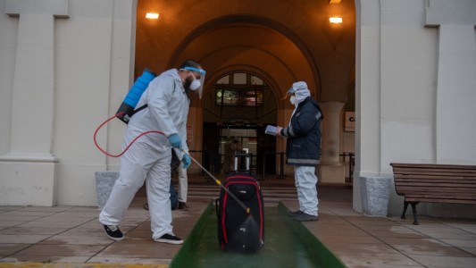 Vizzotti: 90% de contagiados con coronavirus generó anticuerpos, pero "no de por vida"