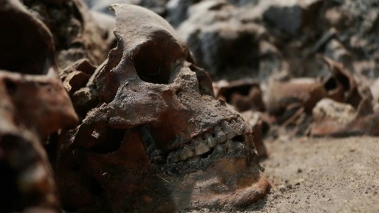 Hallan una torre de cráneos humanos en México