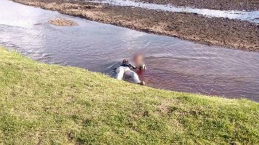 VIDEO: corridas, golpes, tiros y empujones a la salida de un after